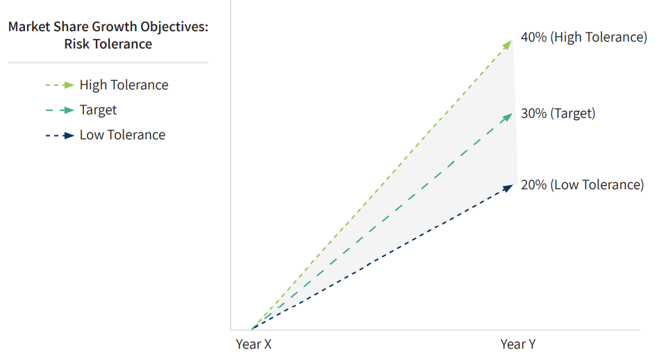 Market Share Growth Objectives: Risk Tolerance