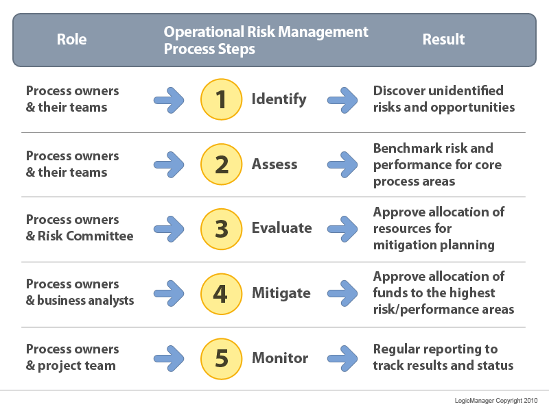 how to evaluate enterprise risk management maturity case study