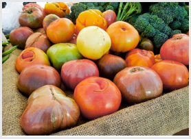 Food Safety Compliance Management software
