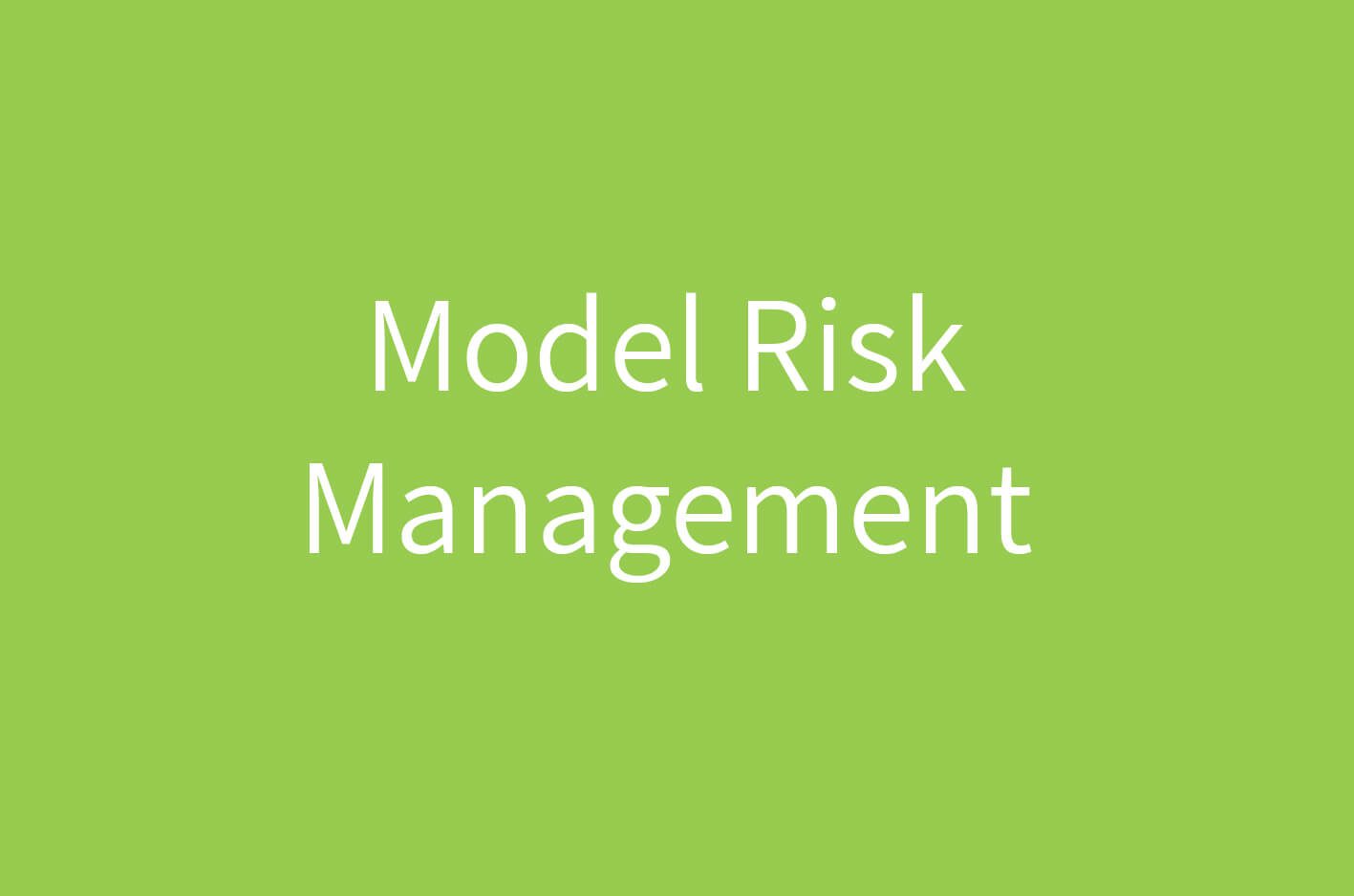model risk management framework and software logicmanager audit risk model