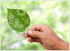 Sustainability and Go Green Management