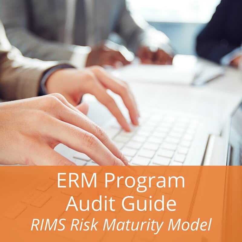 Audit Management Software ERM Tools LogicManager