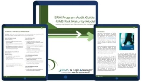 RMM Audit Guide eBook