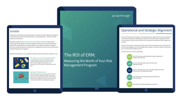 ROI of ERM