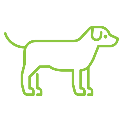 10-PetInsurance
