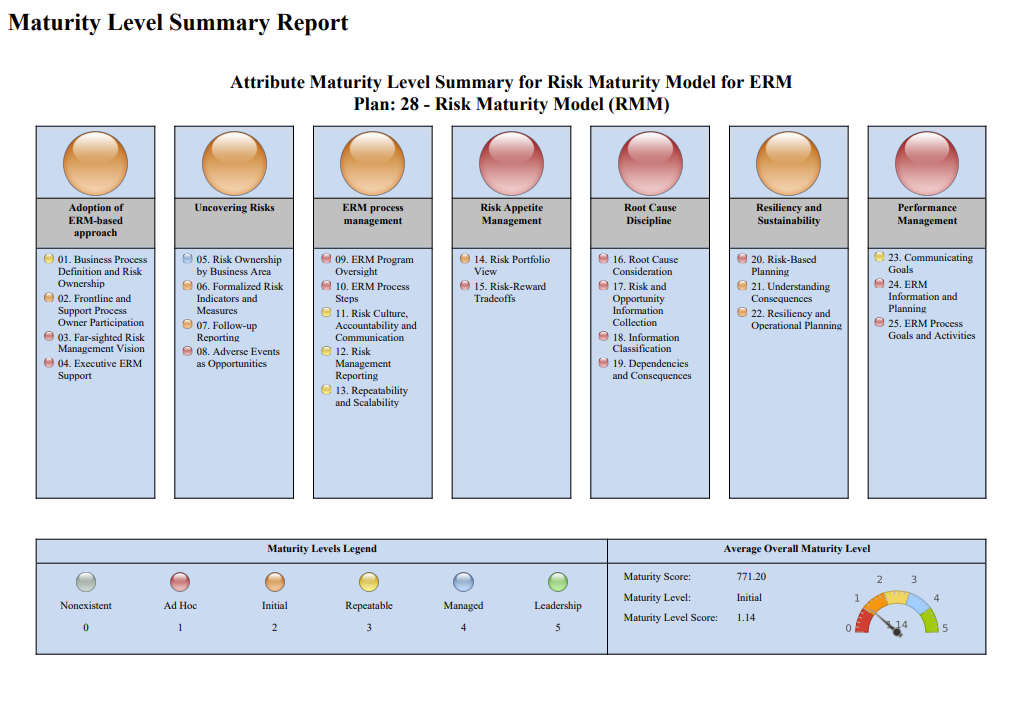 Risk Maturity Summary Report