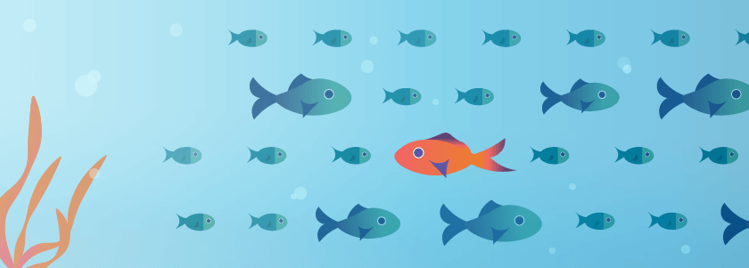 Blog-CustomerValue-Policy-11
