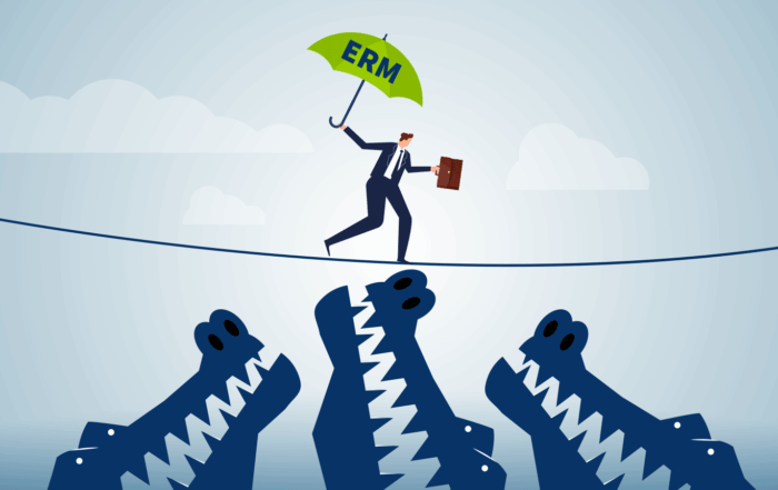 Success story insurance risk management